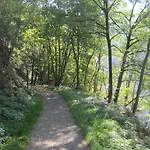 Weber Schleiden