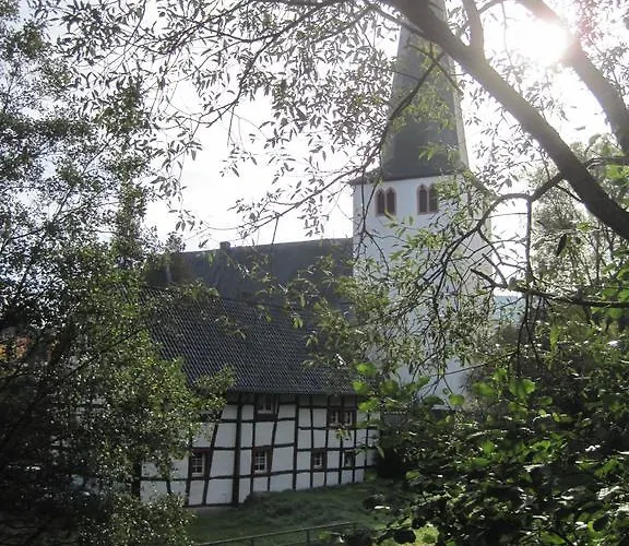 Weber * Шляйден