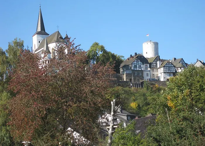 Weber Шляйден