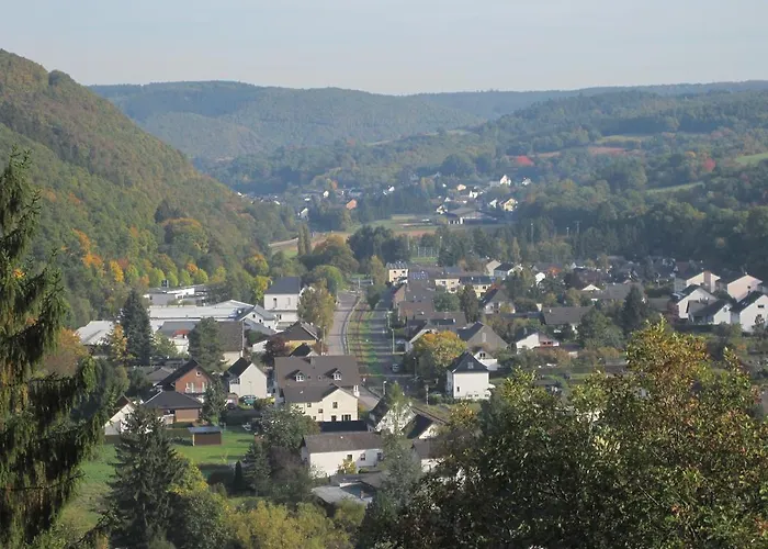 Weber Шляйден