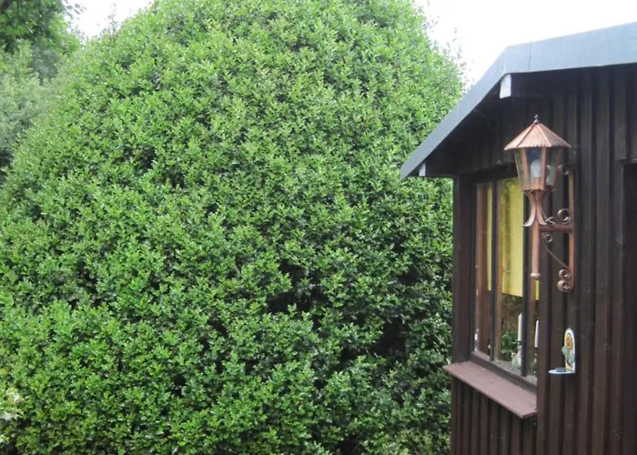 Weber * Шляйден