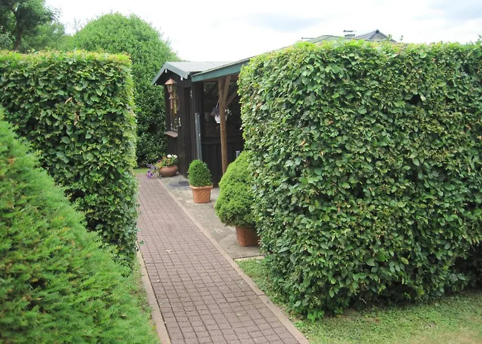 Weber Шляйден